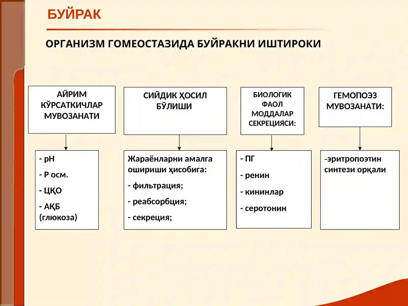 БУЙРАК 4