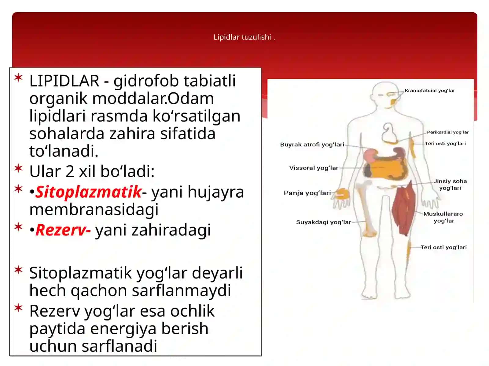 "Yog’larning oralig' almashtirilishi" mavzusida mustaqil ish 4