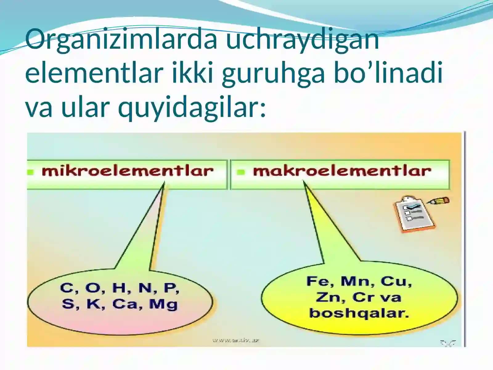 MIKROELEMENTLARNING FUNKSIONAL XUSUSIYATLARI 4