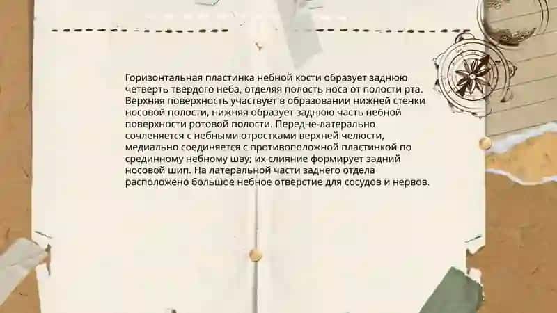 небная кость 4