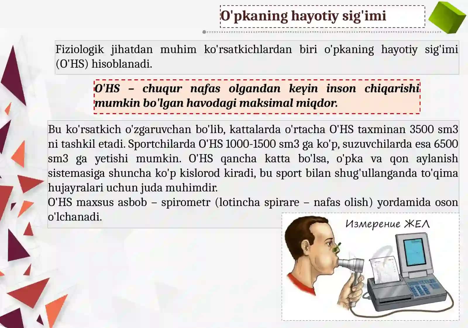 Biologiya - O'pka hayotiy sig'imi 4