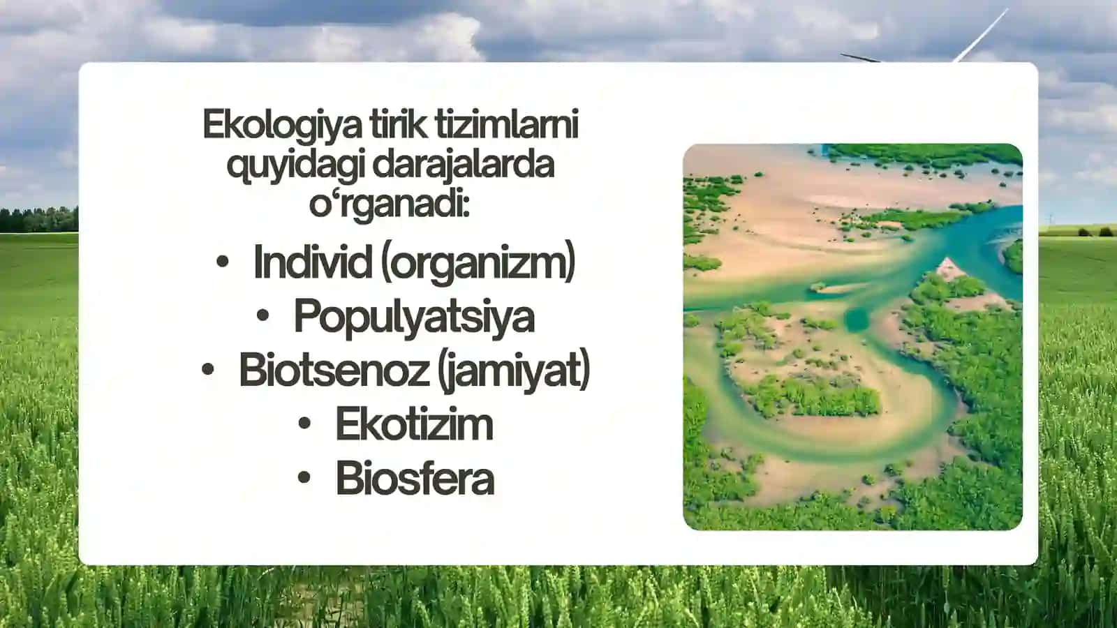 Ekologiya fanining predmeti vazifalari va rivojlanish bosqichlari 4
