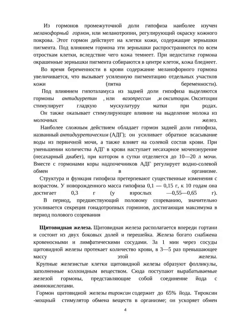 Железы внутренней секреции, строение, возрастные особенности, функции 4