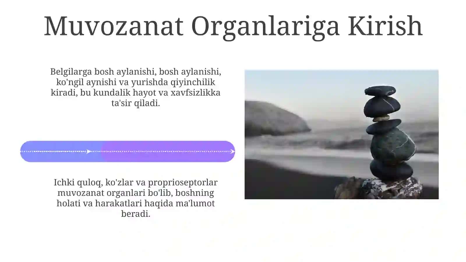 Muvozanatning Anatomiyasi va Fiziologiyasi 4