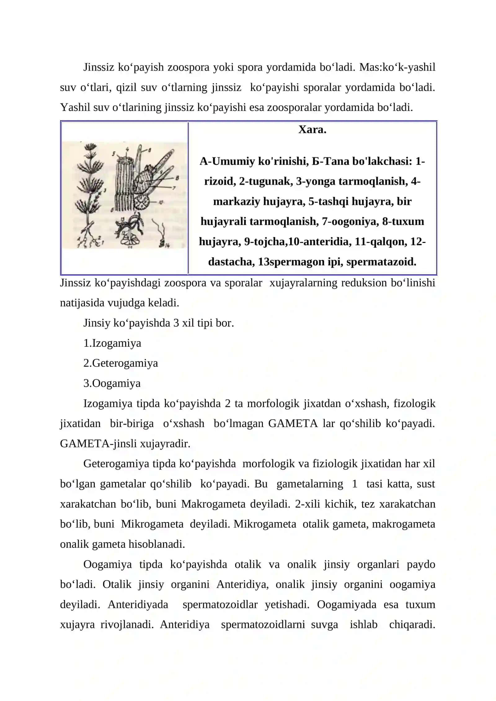 Lishayniklar, Suv o'tlari, Zamburug'lar 4