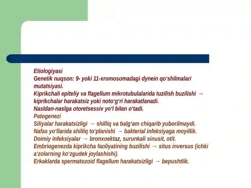 Kartogenersindromi 4