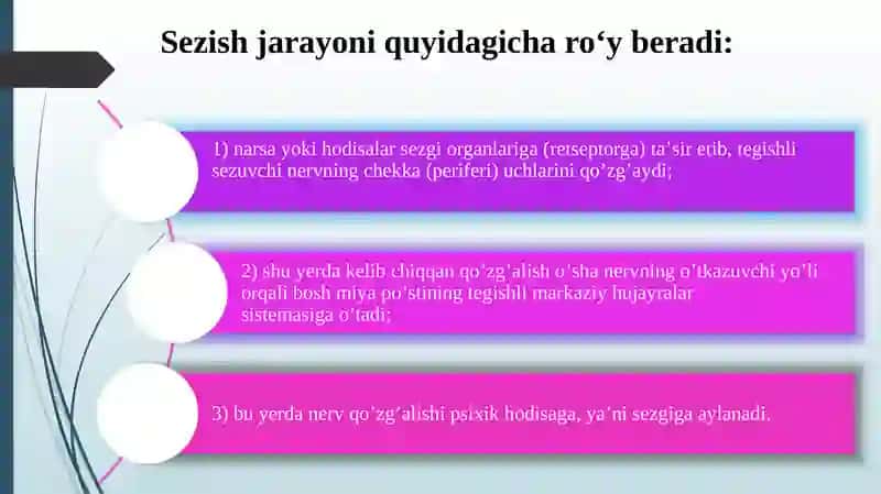 Sezishning fiziologik mexanizmlari. Sezgi turlari. Idrokning assotsiativ nazariyasi. 4
