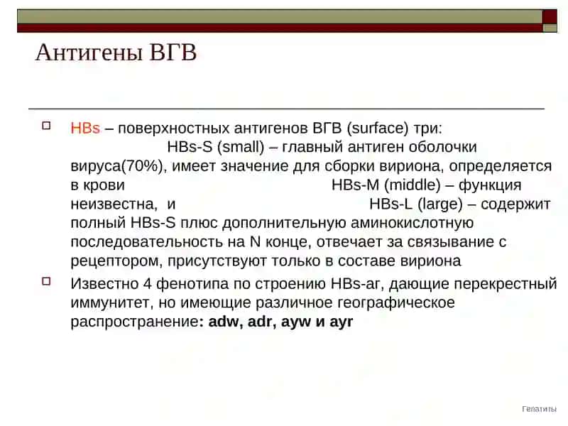 Гепатит В 4