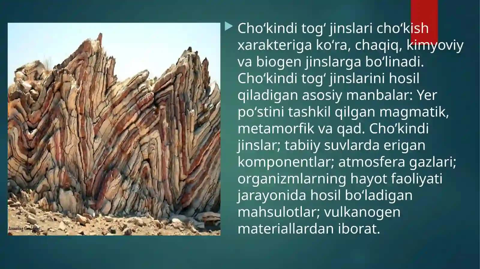 Taqdimot(prezentatsiya) 4