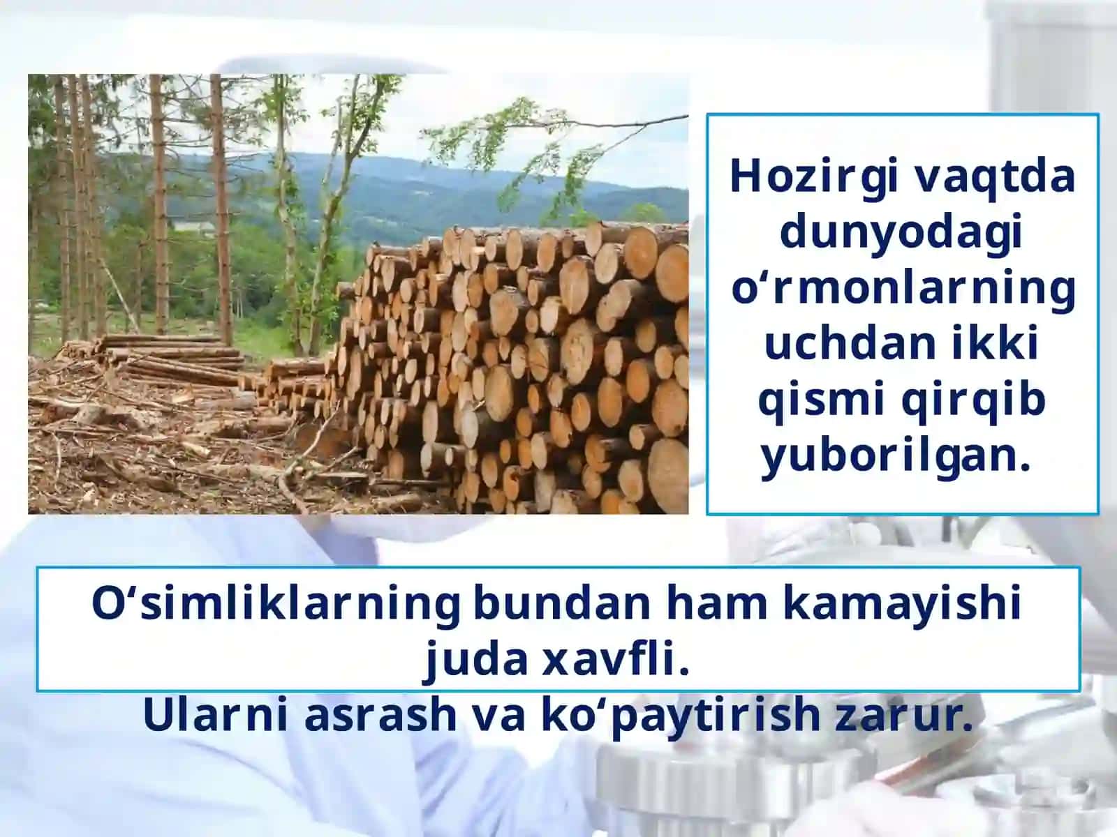 Organizmlarning yer qobiqlariga ta’siri 4