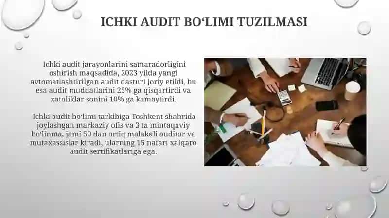 Ichki va Tashqi Auditlar 4