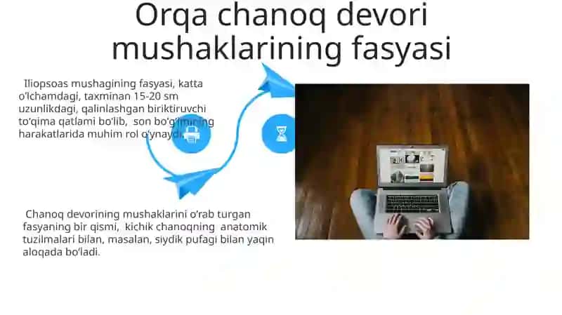 Chanoq Soxasidagi Fasialarning Umumiy Tavifi 4