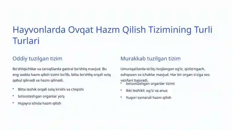 Ovqat Hazm Qilish Tizimi Hayvonlarda 4