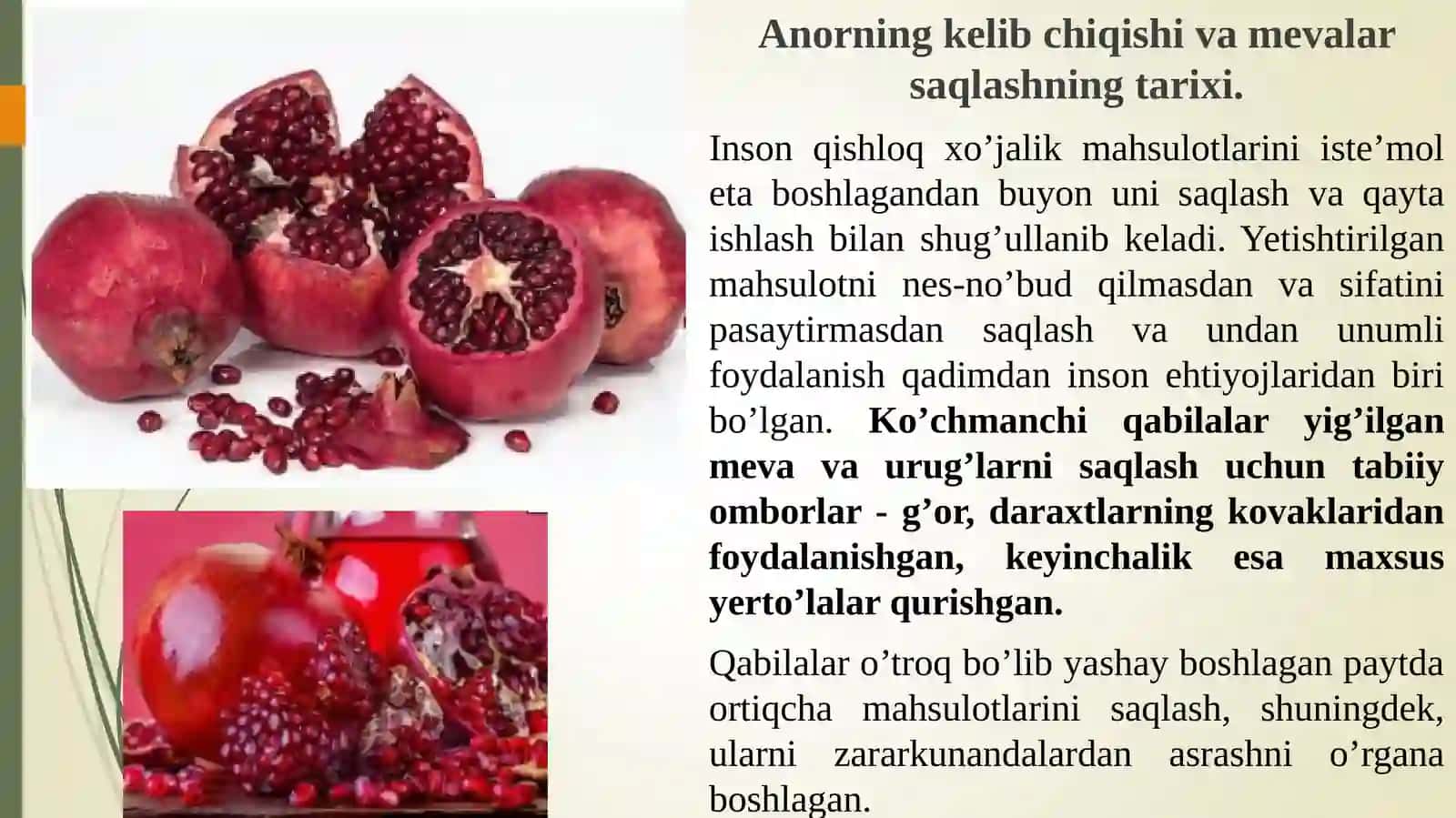 Anor va boshqa mevalarning saqlashni xalq xo’jaligidagi o’rni va ahamiyati 4