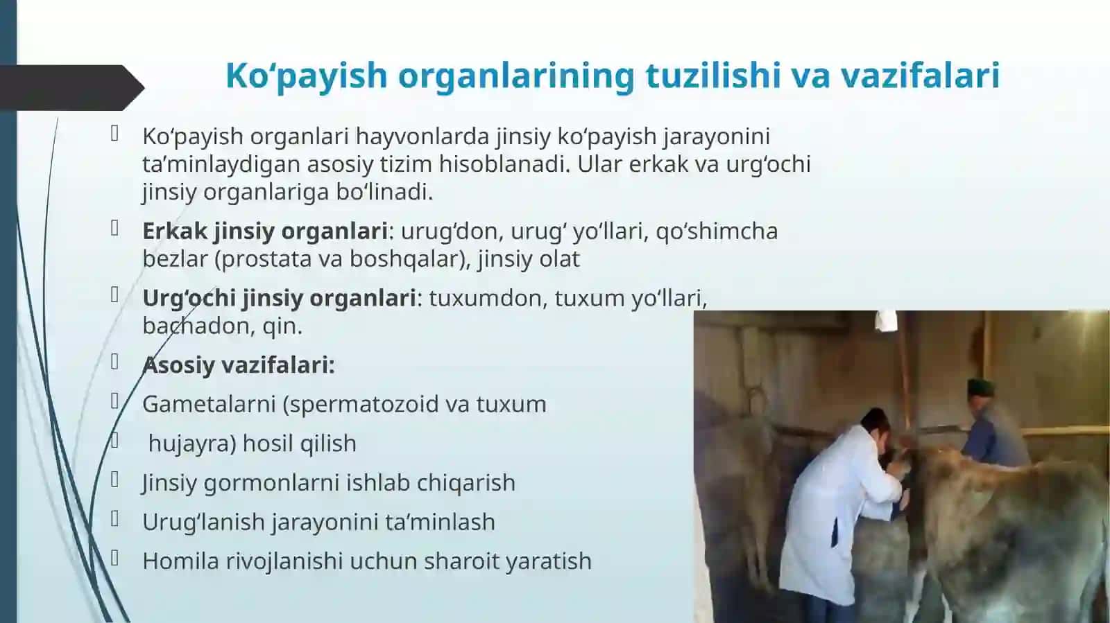 Koʻpayish hodisalari organlarining faoliyati. Jinsiy siklning tur xususiyatlari 4