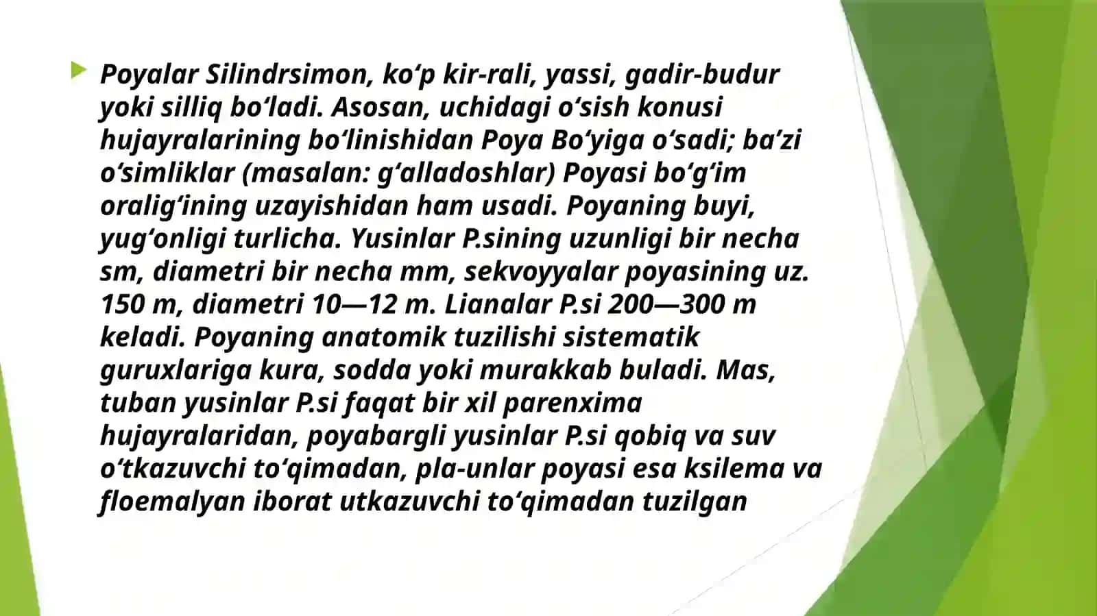 Poyaning birlamchi va ikkilamchi anatomik tuzilishi 4