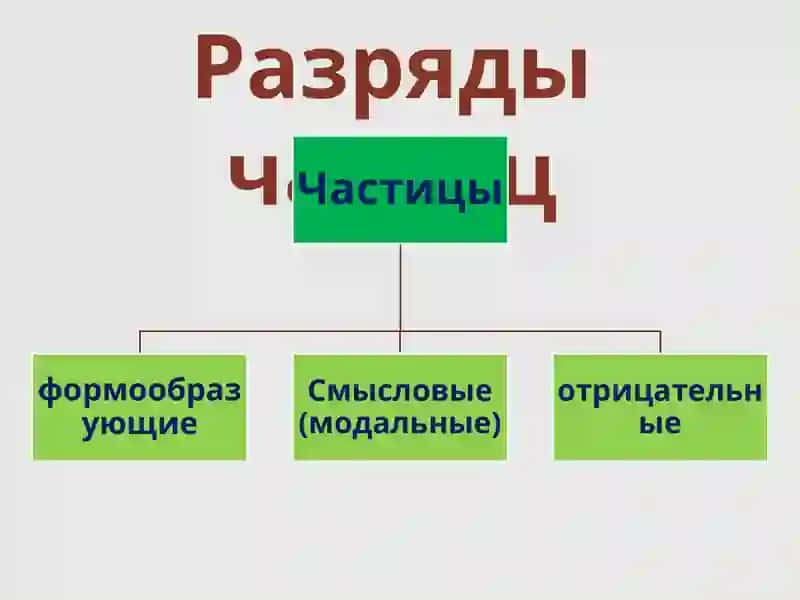Частицы 4