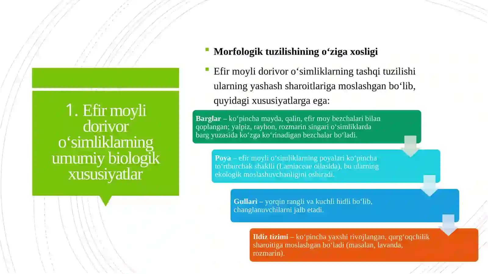 EFIR MOYLI DORIVOR O‘SIMLIKLAR BIOLOGIYASI VA EKALOGIYASI 4