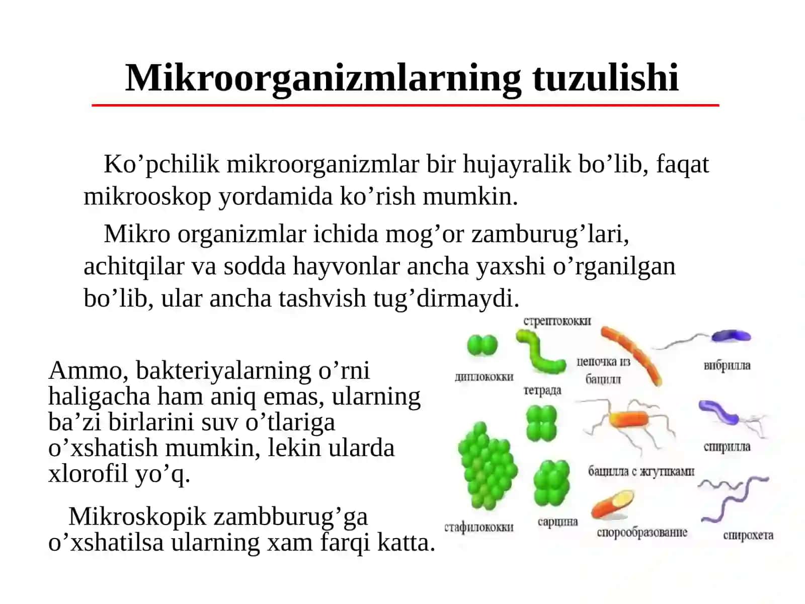 Agrokimyo va Agrotuproqshunoslik301-Sherkulova Muxlisaxon 4