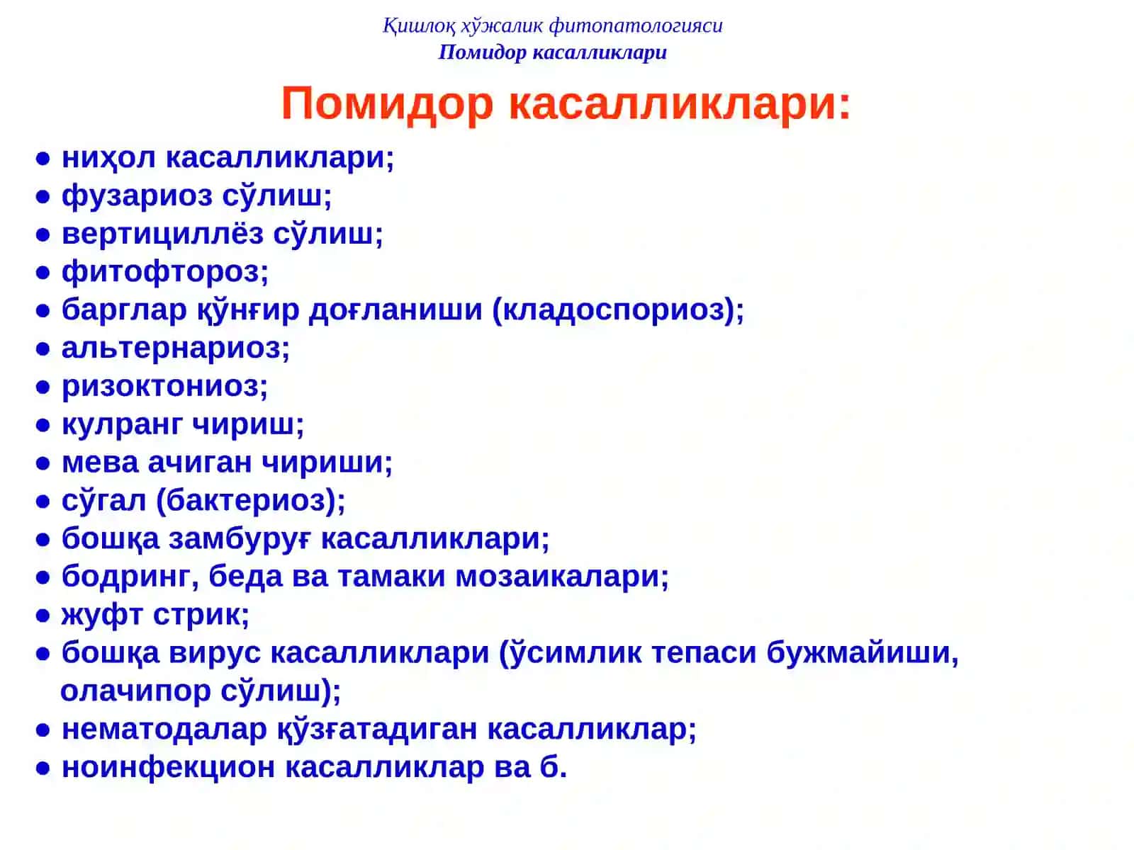 ПОМИДОР КАСАЛЛИКЛАРИ ВА УЛАРГА ҚАРШИ КУРАШ ЧОРАЛАРИ 4