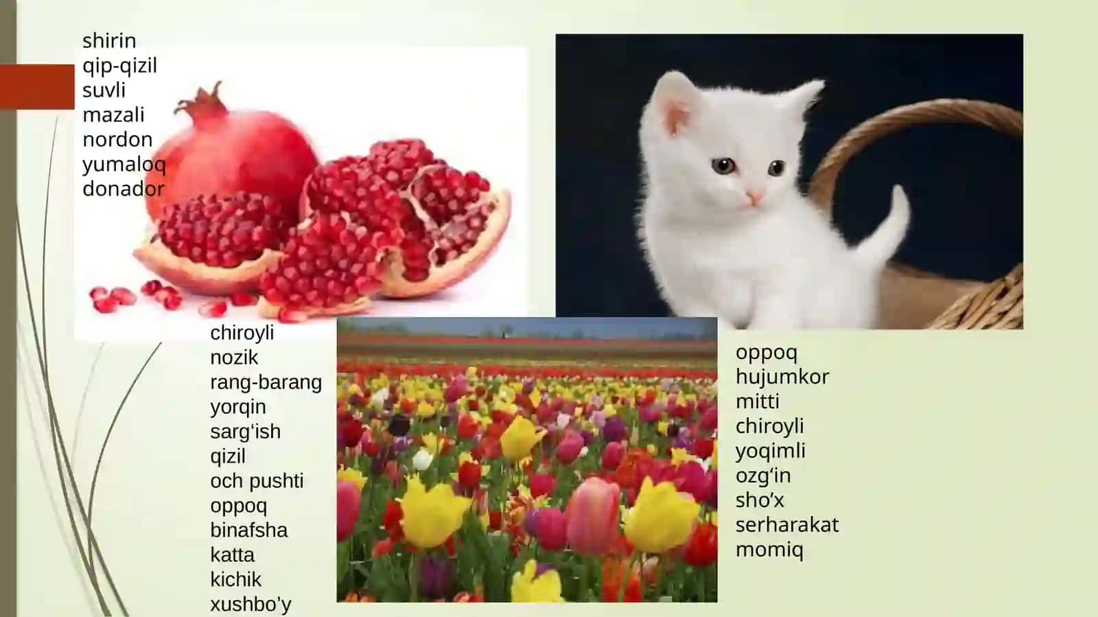 Sifat. Sifatning leksik-grammatik xususiyatlari.Sifat darajalari. Sifatning otlashishi 4
