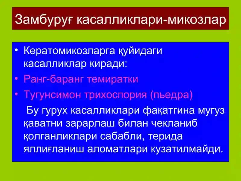 Терининг замбуруғкасалликлари-микозлар 4