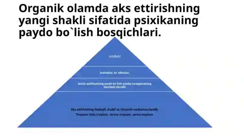 Ong taraqqiyoti va ongsizlik 4