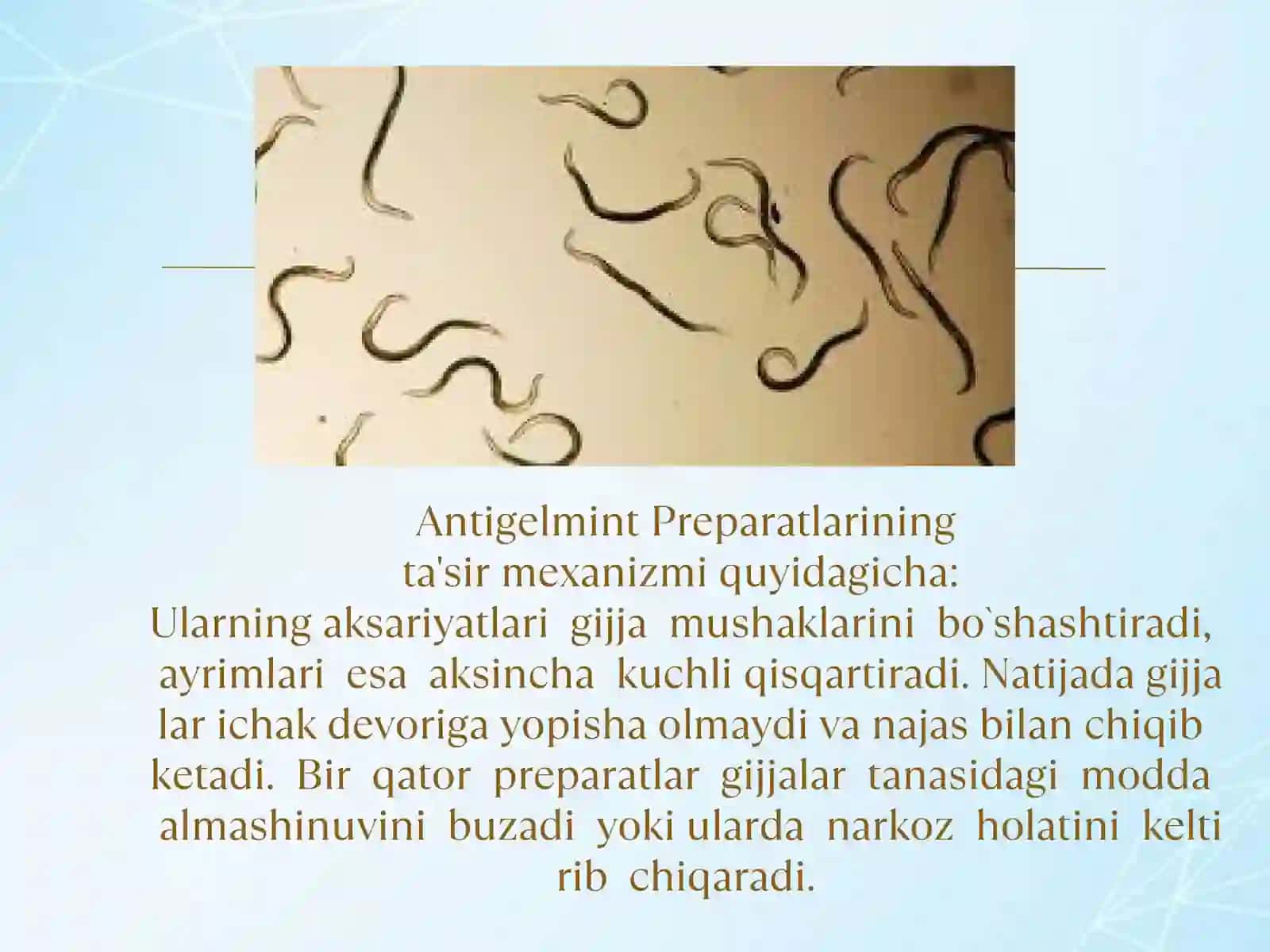 Gijjaga qarshi vositalar 4