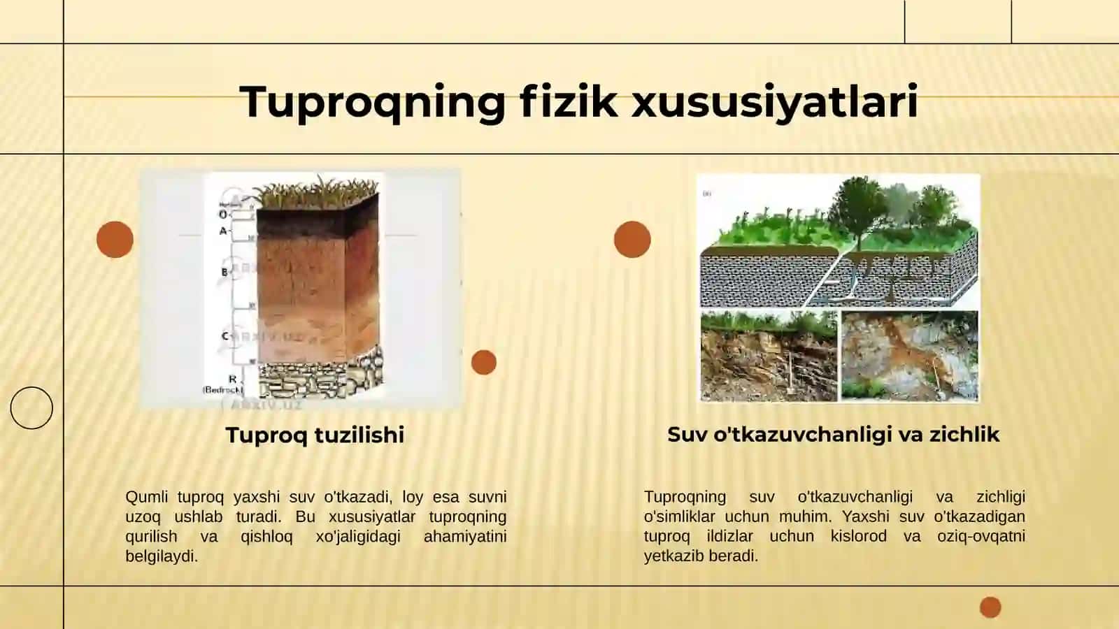 Tuproq va uning tabiiy xususiyatlari 4