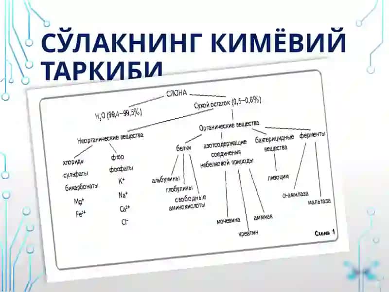 Сўлак биокимёси 4