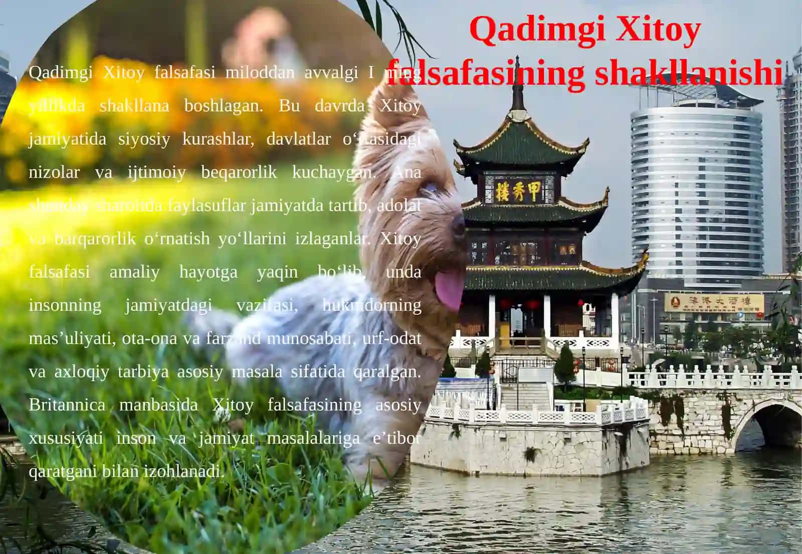 Qadimgi Xitoy va Hindistonda falsafiy fikrlarning yuzaga kelishi va rivojlanishi 4