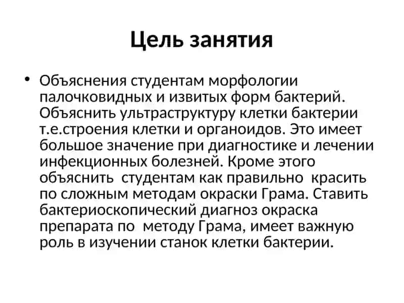Морфология, структура, химический состав бактериальной клетки 4