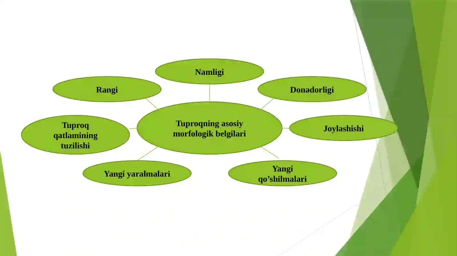 Tuproqmorfologiyasivatarkibinio’rganish 4
