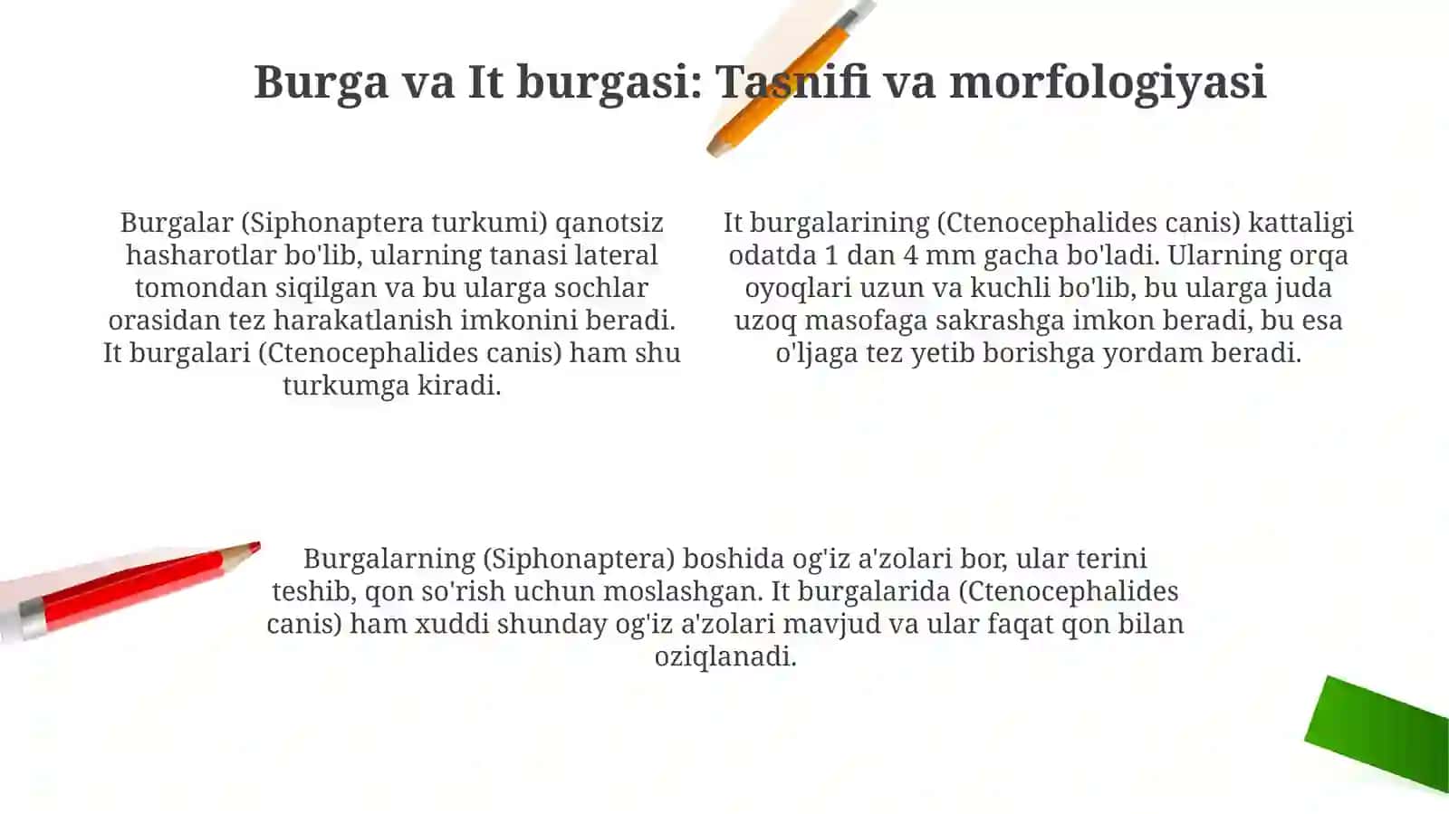 Bo'g'imoyoqlilar. Kanalar. It kanasi, tayga kanasi 4