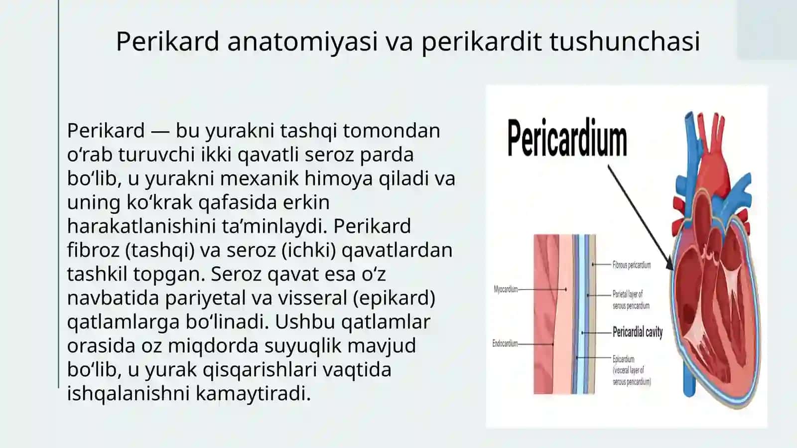 Perikardit va uning turlari 4