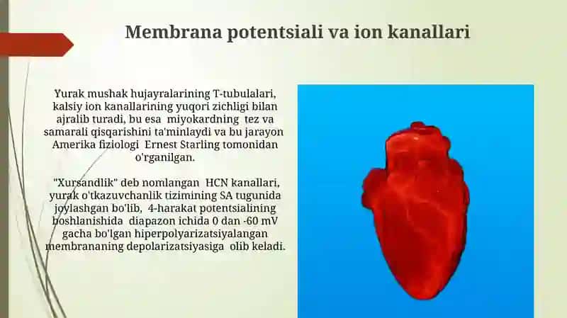 Yurak faoliyatini fizik asoslari 4