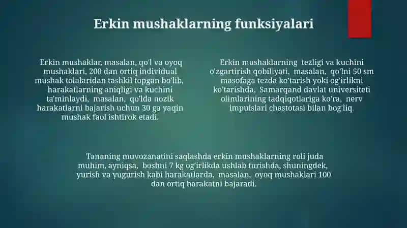 Oyoqning Kamar va erkin muskullari 4