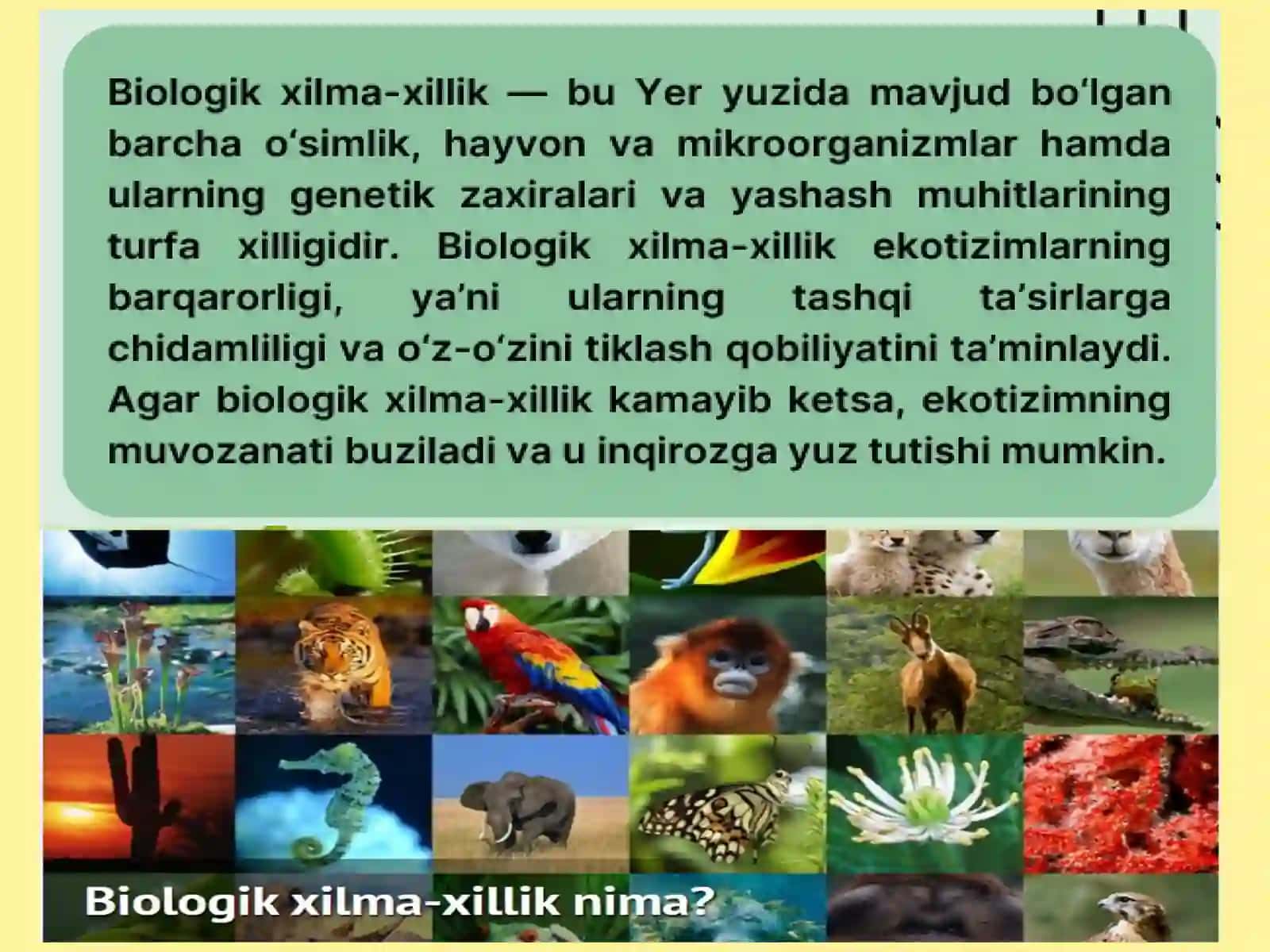 Ekotizimlar va biologik xilma-xillik 4