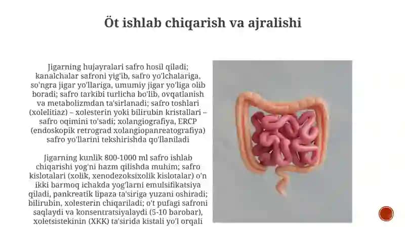 O't tarkibi 4
