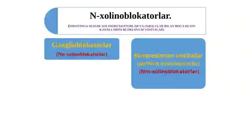 N-xolinoblokatorlar 4