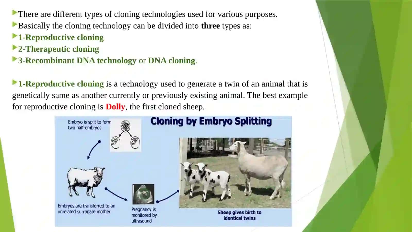 DNA Cloning 4