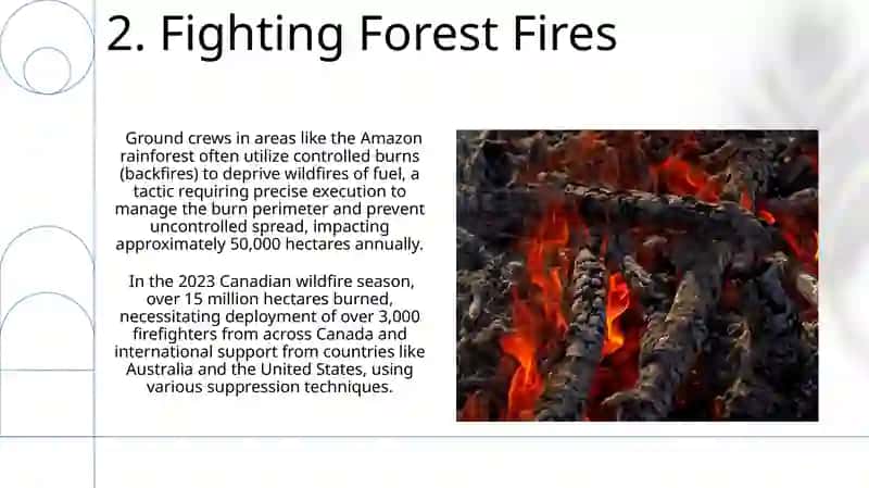 Forest fires 4
