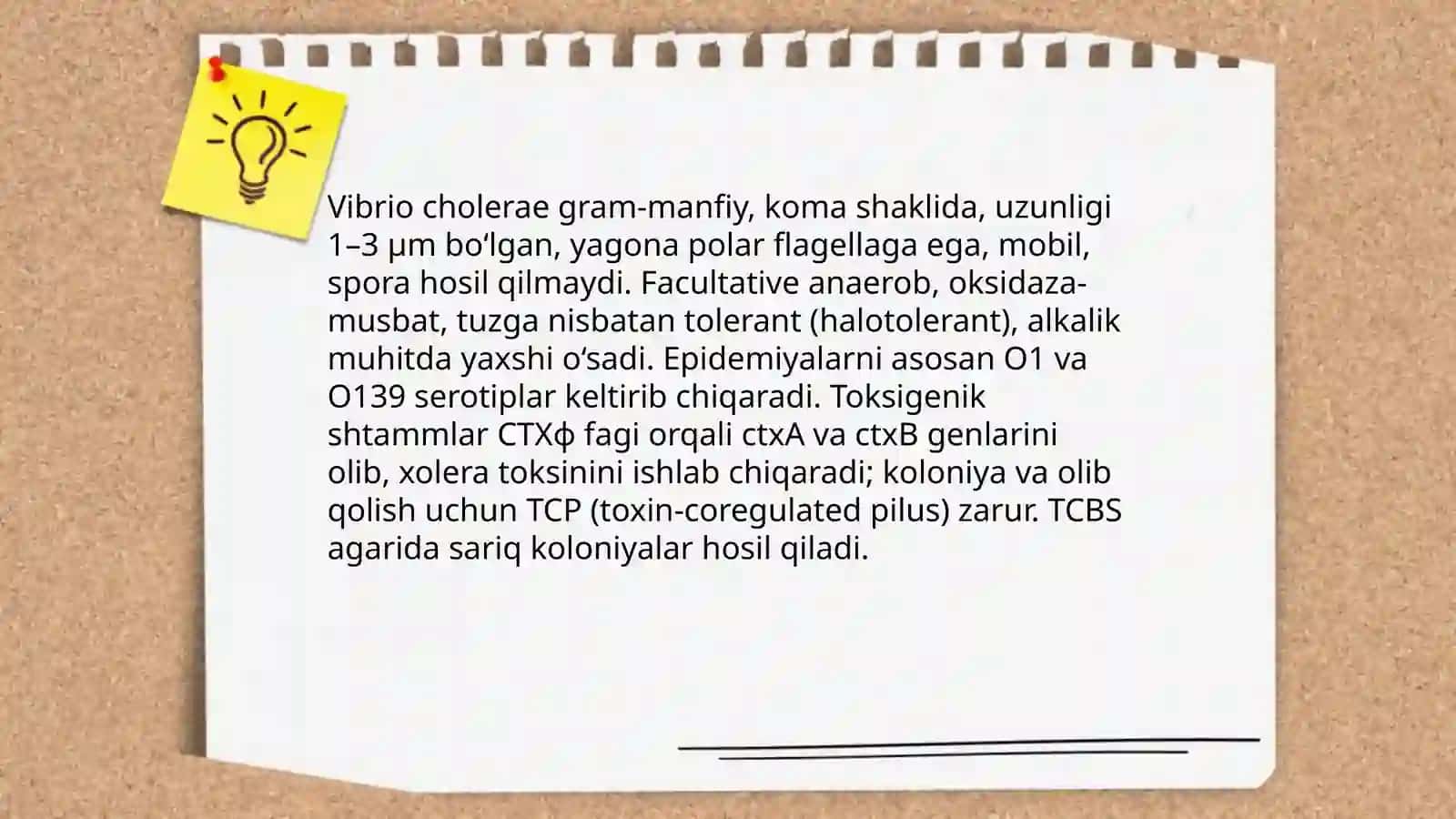 Vabo 4