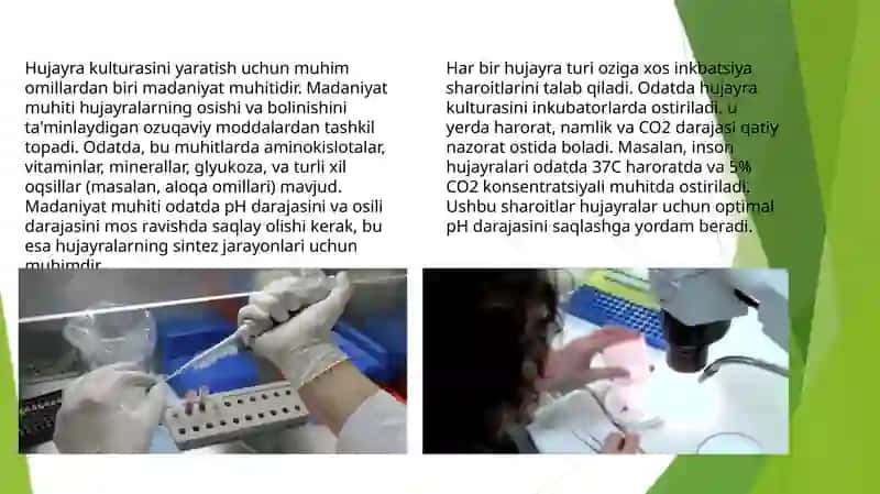 Hujayrakulturasiniyaratish usullari 4