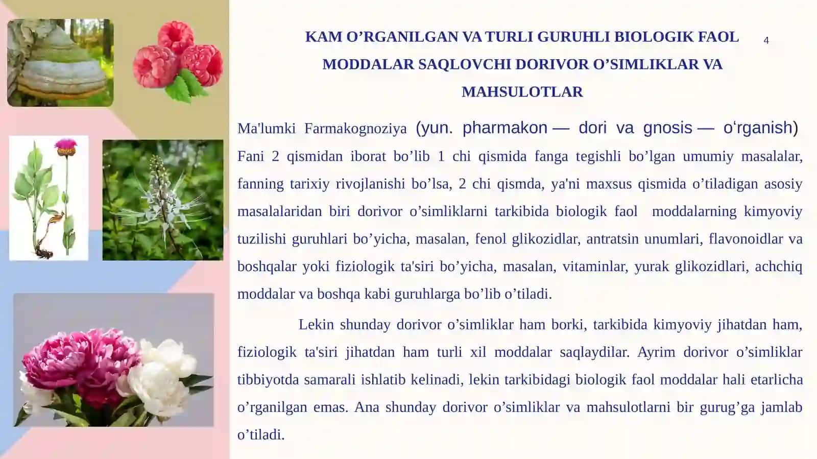 Biologik aktiv moddalar olish texnologiyasi 4