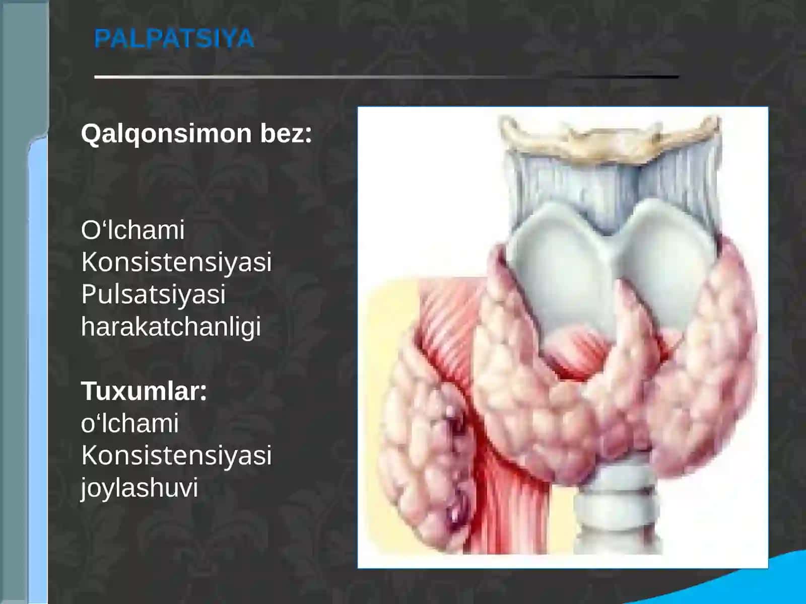 Endokrin tizimi kasallik-lari 4