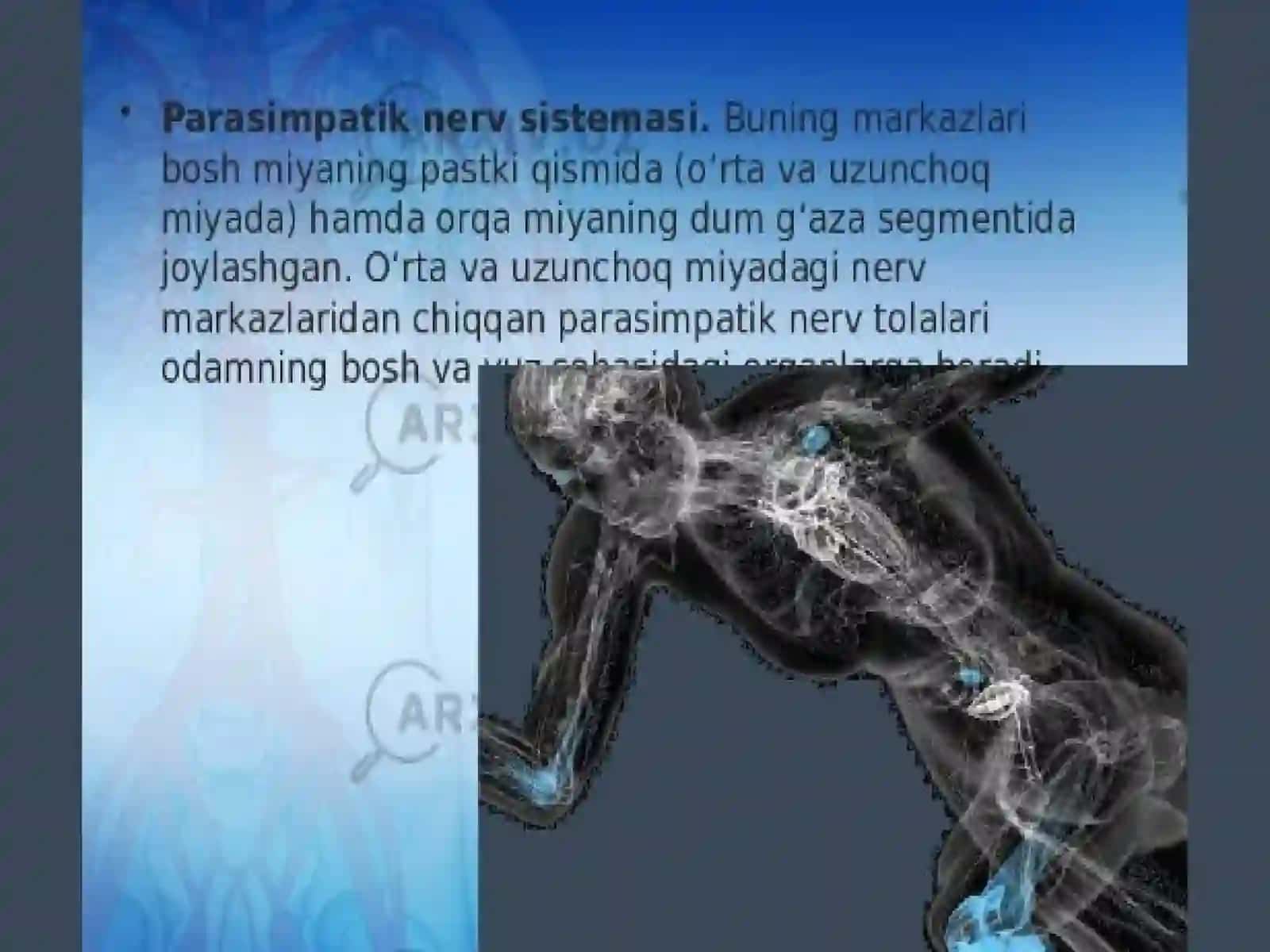 Vegetativ nerv sistemasining faoliyatini oʻrganish 4