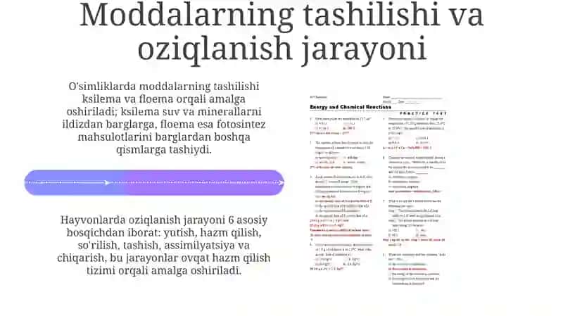 Moddavaenergiyaalmashinuvi 4