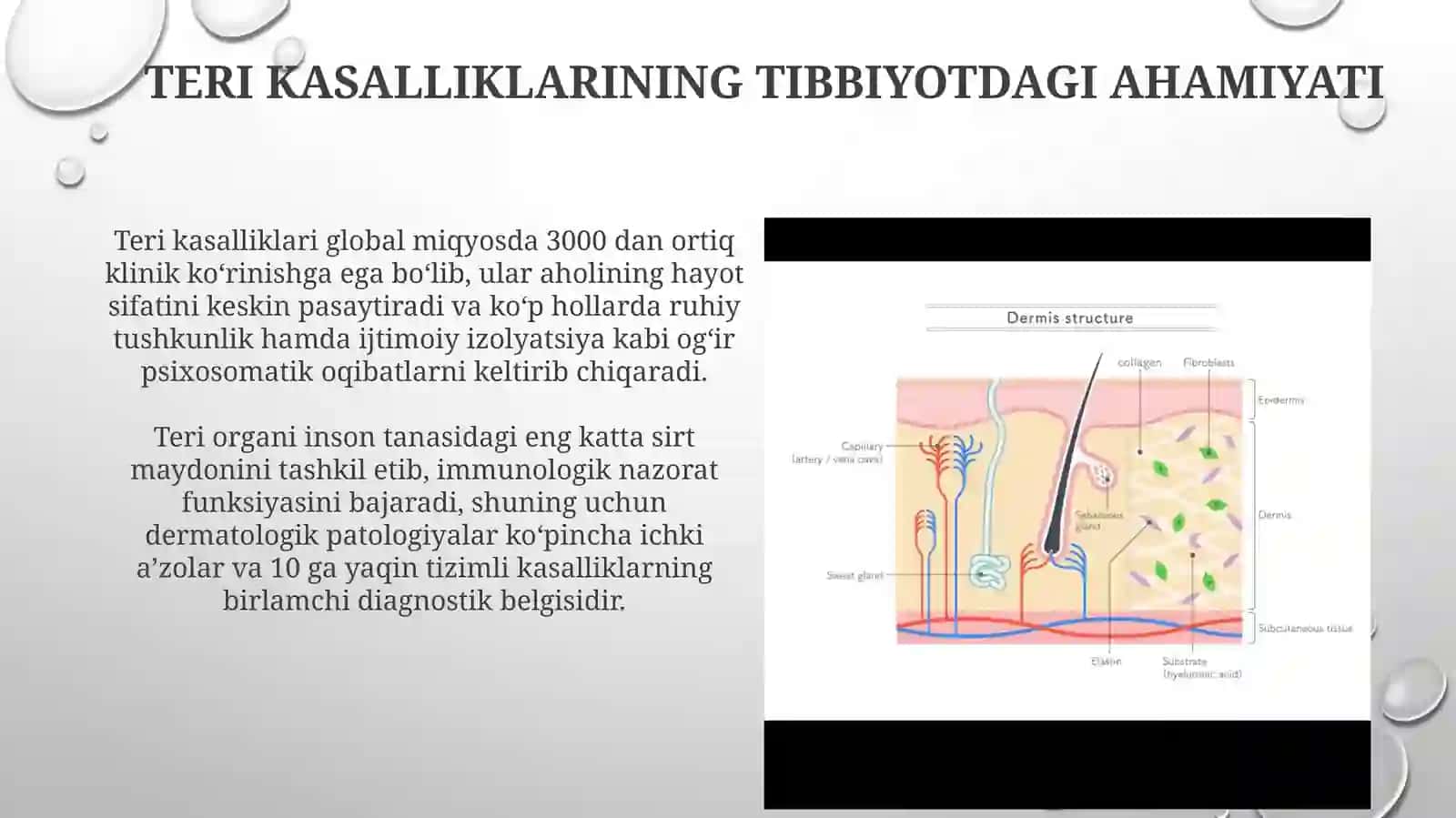 Teri xastaliklari patofiziologiyasi 4
