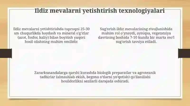 Ildizmevalar morfologiyasi biologiyasi va yetishtirish texnologiyasi 4